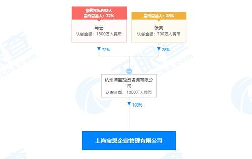 馬云旗下公司全資收購(gòu)寶恩企業(yè)管理咨詢(xún)，深化商業(yè)版圖布局